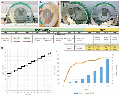 Habituation Training Improves Locomotor Performance in a Forced Running Wheel System in Rats